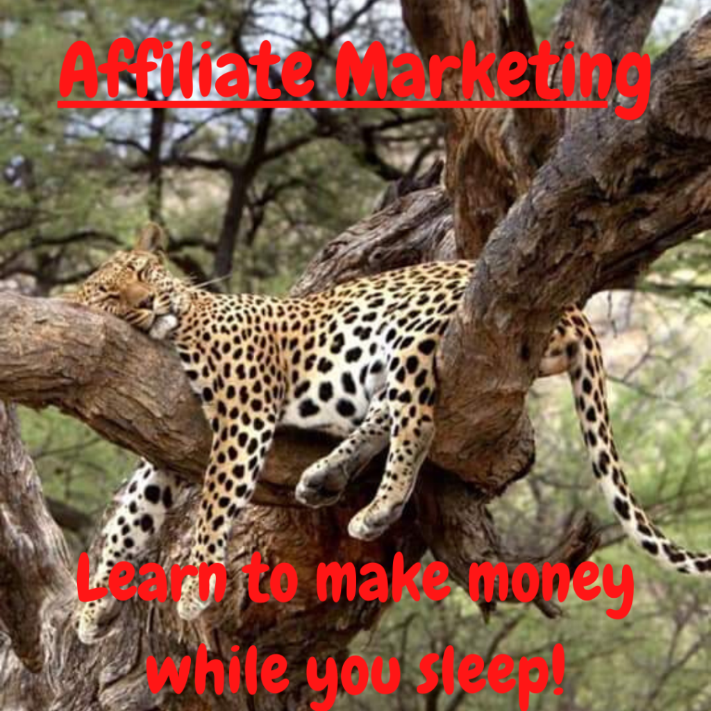 Online Benjamins, Affiliate Marketing