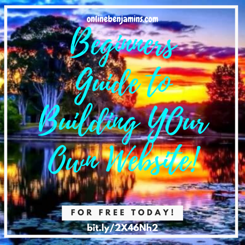WA build a website