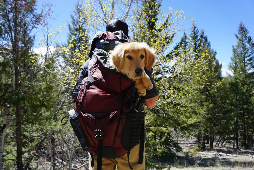 Hiking - how to make money online from hiking