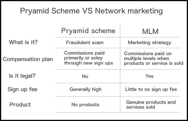 chart of the differences between multi level marketing and a pyramid scheme
