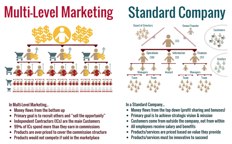 info graphic on the differences between a multi level marketing company and a standard company