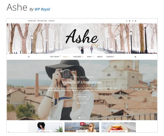 Ashe WordPress theme example page - best wordpress themes for bloggers