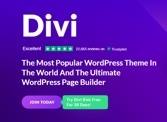 Best WordPress themes for bloggers - Divi wordpress theme screen example