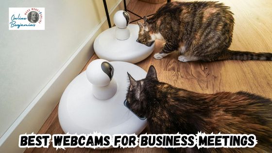 Best Webcams for Online Business Meetings featured image with two webcams on a desk with a cat looking into each one.